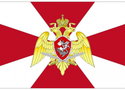 В Борисоглебске привлекли к административной ответственности сотрудника Росгвардии 