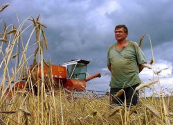 Аграрии Воронежской области получат поддержку от государства