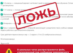 Власти Воронежской области продолжают опровергать фейки