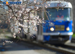 Каким будет май в Воронежской области, рассказали синоптики