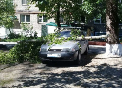 В Борисоглебске упавшая ветка пробила лобовое стекло автомобиля