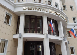 Прокуратура Воронежской области обнародовала итоги проверки правоохранительных органов