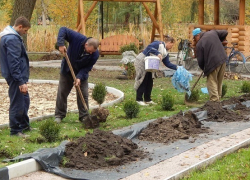 В центре села Мазурка Поворинского района благоустроят парк