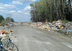 Жителям Воронежской области предлагают сообщать об экологических преступлениях в СУ СК