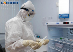 Более 19 тыс жителей Воронежской области сделали прививку от COVID-19