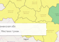 Желтый уровень опасности ввели в Воронежской области из-за тумана 