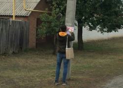 В Борисоглебске реклама башкирского меда продолжила эстафету загаживания городских улиц