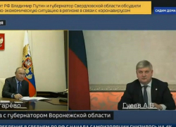 В Воронежской области появится быстровозводимая инфекционная больница для борьбы с коронавирусом 