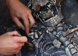 В Воронежской области археологами найдены уникальные древние захоронения