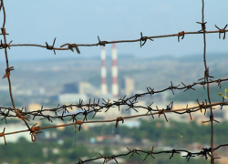 В  Борисоглебске продажей наркотиков занимался целый «семейный подряд»