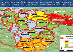 Борисоглебск остается в «красной зоне» пожарной опасности