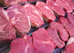 «На мясо не было никаких документов»: как сибирская язва добралась до Воронежа 