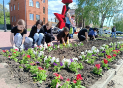 В Борисоглебске появился «Цветник Победы»