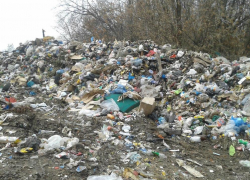 Очередную несанкционированную свалку обнаружили в Борисоглебском районе инспекторы Россельхознадзора