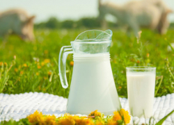 Борисоглебцам на заметку: немного о козьем молоке