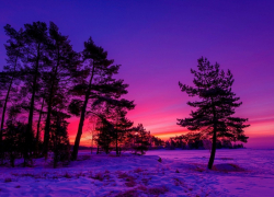 Самый короткий день года наступил сегодня