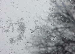 «То дождь, то снег, то снег, то дождь…»: переход октября в ноябрь пройдет в Борисоглебске по плану