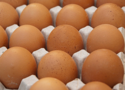 А тем временем цена на яйца в Воронежской области выросла еще на 7%