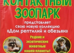 Борисоглебск. Тайная жизнь контактных зоопарков