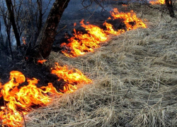 Спасатели объявили открытым сезон ландшафтных пожаров в Воронежской области
