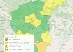 Оранжевый уровень опасности объявили из-за погоды в Воронежской области