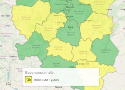 Желтый уровень опасности объявили в Воронежской области из-за погоды