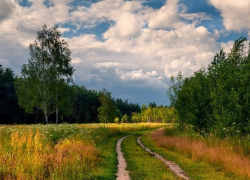 Август одарит борисоглебцев погодой на любой вкус