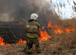 В Воронежской области установился 4 класс пожарной опасности из-за жары