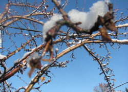 Мокрый снег и дожди накроют Воронежскую область в начале рабочей недели