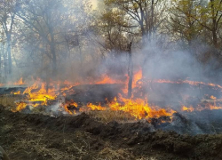 Причиной масштабного пожара в Хопёрском заповеднике стала стрельба с вертолета 