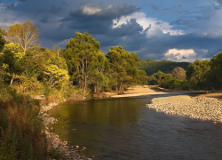 Осень наступила: в конце рабочей недели в Борисоглебске похолодает 