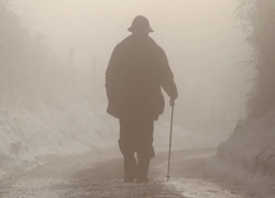В Грибановке суд признал умершим мужчину, пропавшего в 2017 году 