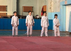 В Петровской школе ответили на претензии каратистов