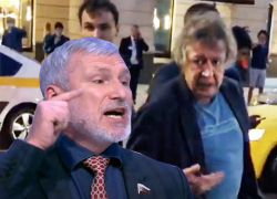 Убийством с отягчающими обстоятельствами назвал ДТП с Ефремовым воронежский депутат Госдумы