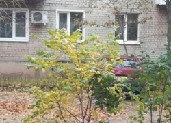 Юго-Восточный микрорайон Борисоглебска захлестнула волна криминала