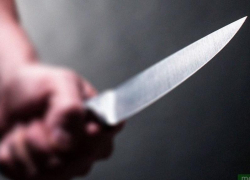 За кровавую разборку с другом борисоглебец получил шесть лет «строгача» 