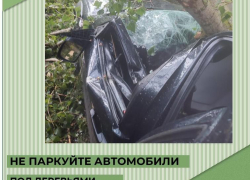 В Терновке дерево упало на машину, в которой был ребенок