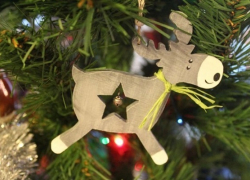 Хопёрский заповедник проведёт конкурс на лучшую ёлочную игрушку