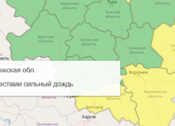 Желтый уровень опасности объявили в Воронежской области из-за дождей