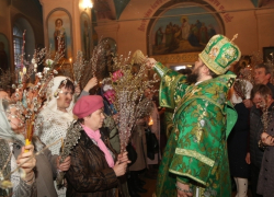 Верующие Борисоглебска отпраздновали Вербное воскресенье