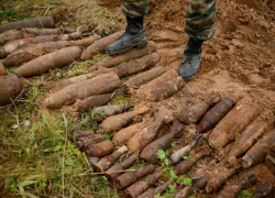 В Борисоглебском городском округе уничтожили боеприпасы времён Великой Отечественной войны