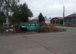 В заваленном мусором городе администрация Борисоглебска обеспокоилась мусором «визуальным» 
