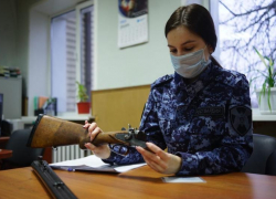 Сотни единиц оружия изъяли сотрудники Росгвардии у жителей Воронежской области 