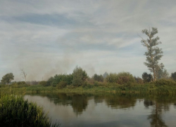 Народный корреспондент: в селе Петровское Борисоглебского округа загорелся лес.