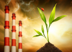 В Воронежской области стартует конкурс видеосюжетов на тему экологии