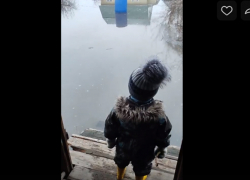 Видео дня: в г.Борисоглебске Воронежской области маленький мальчик не может выйти из затопленного дома