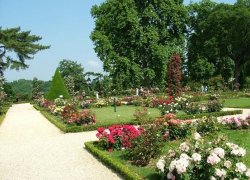 В Борисоглебске проект «Сад Аркадия» участвует в конкурсе гражданских инициатив