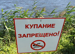 Роспотребнадзор не рекомендует купаться на  самом популярном диком пляже Борисоглебска