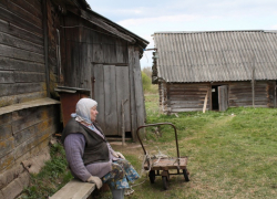 Численность населения Воронежской области за год сократилась на 1,6 тыс. человек