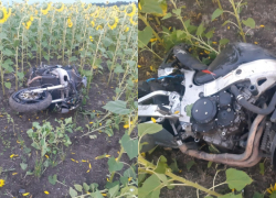 Мотоциклист без прав разбился на трассе в Воронежской области